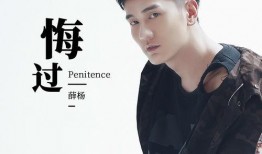 悔过在线观看,揭秘心灵救赎的在线之旅