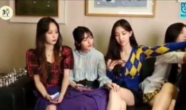 女团成员爆料娱乐圈视频,女团成员亲曝惊人视频内容